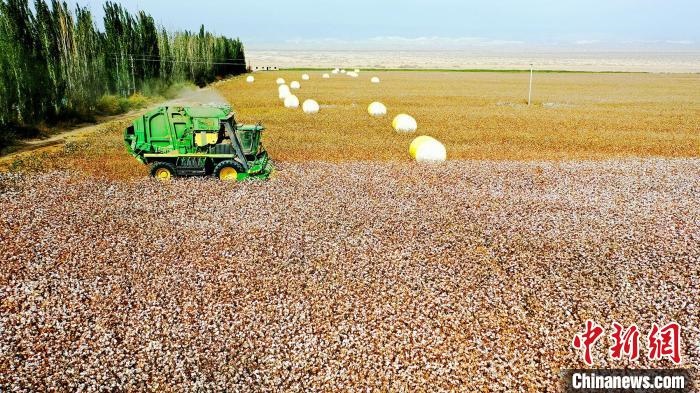 近年來，當(dāng)?shù)孛藁ǚN植戶的生產(chǎn)生活發(fā)生了翻天覆地的變化?！《?攝