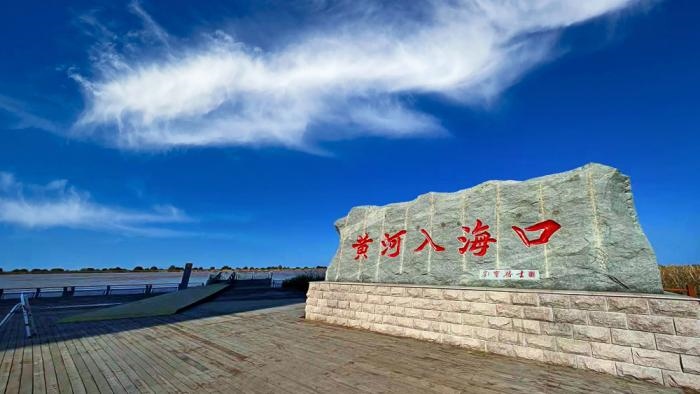 △黃河入?？谖挥谏綎|東營市墾利區(qū)。(總臺央視記者彭漢明拍攝)