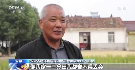 十八連豐！秋收近九成 我國糧食產(chǎn)能穩(wěn)步提升