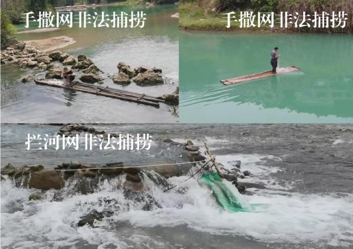 2021年9—10月，前期暗查發(fā)現(xiàn)，保護(hù)區(qū)核心區(qū)內(nèi)非法捕撈行為十分猖獗