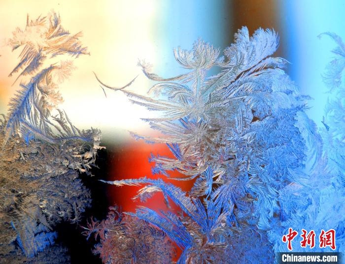 冰窗花千姿百態(tài)?！O書程 攝