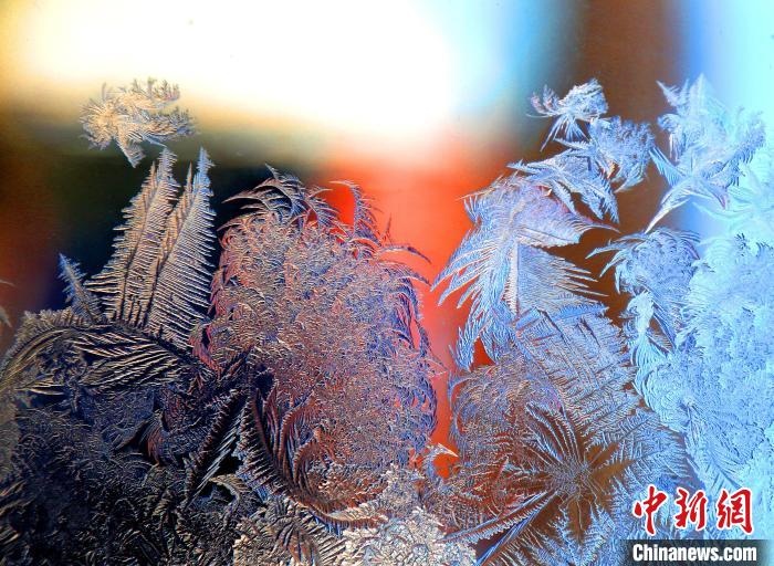 惟妙惟肖的冰窗花，似一幅風(fēng)景畫。　孫書程 攝