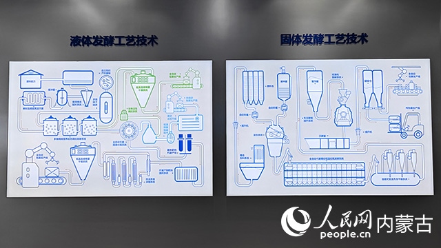 科拓生物工藝技術(shù)展示。人民網(wǎng)記者 張雪冬攝