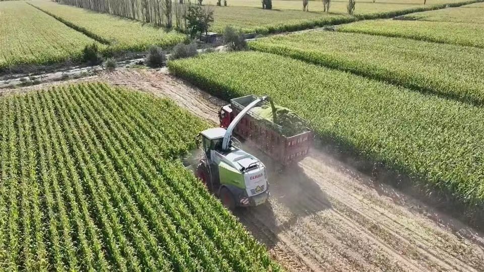 1672828354117012.jpg 微信圖片_20230104182924.jpg