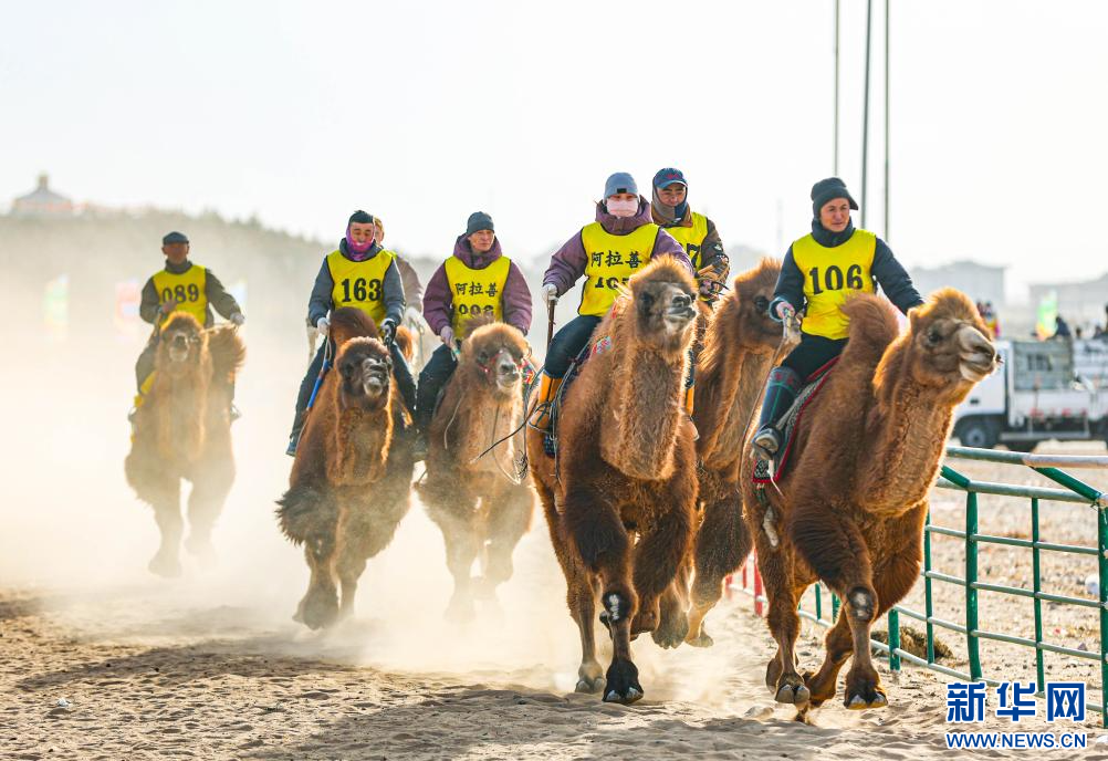 3月7日，賽駝手在6000米成年駱駝場(chǎng)地速度賽比賽中。.jpg