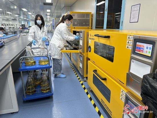 【高質(zhì)量發(fā)展看中國(guó)】基因遞送排頭兵 可實(shí)現(xiàn)“個(gè)性化”定制