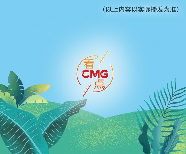 總臺周看點(diǎn)，來了！