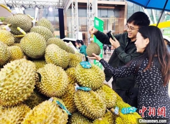圖為廣西南寧市民在選購榴蓮。黃艷梅 攝
