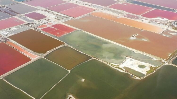 鑒往知來，跟著總書記學(xué)歷史丨走進(jìn)一座博物館，尋根五千年中華文明