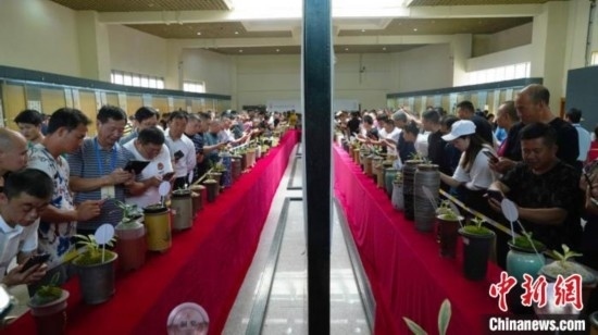 圖為活動(dòng)現(xiàn)場。 云南省委臺辦供圖