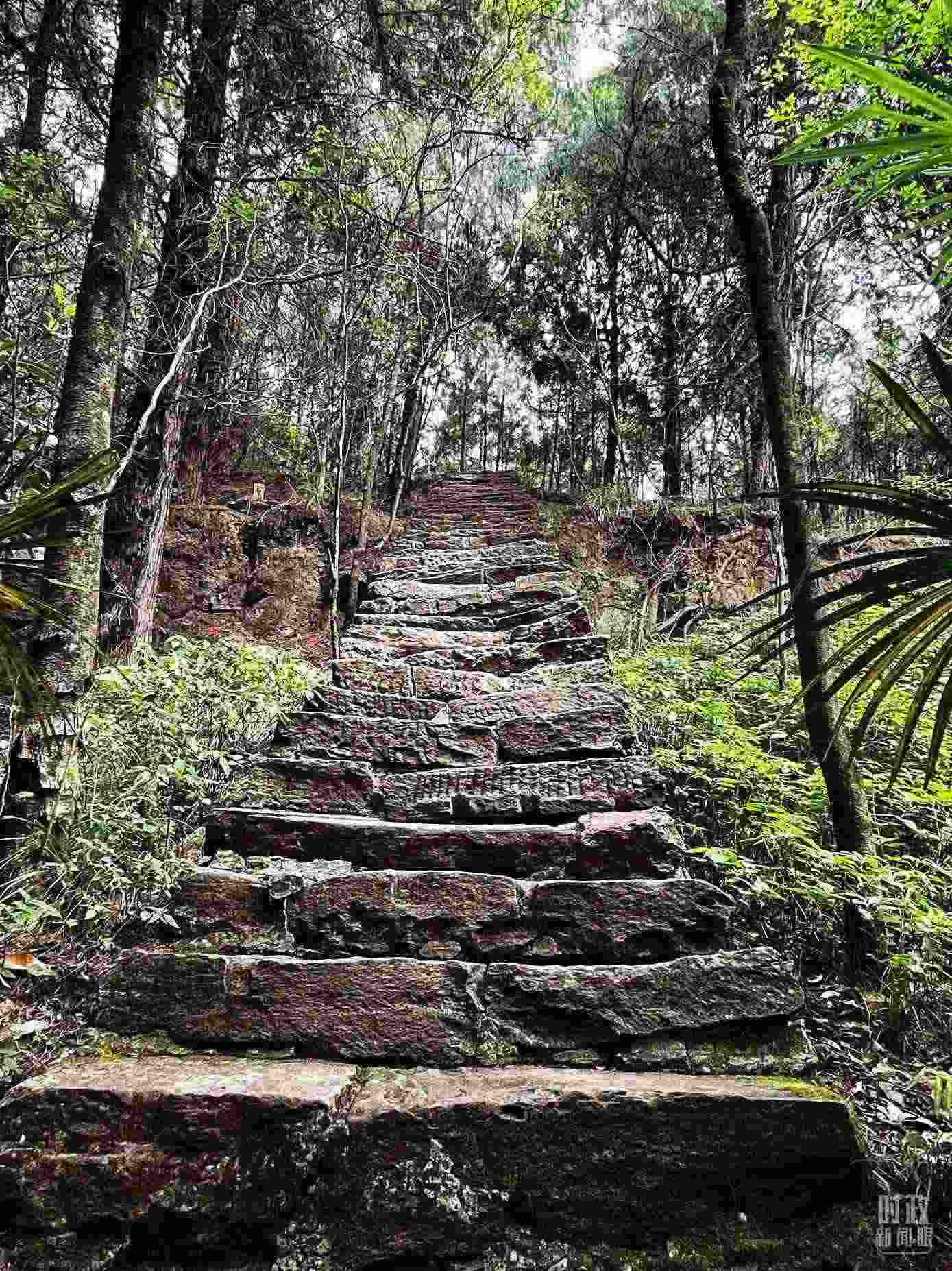 △古蜀道。（總臺(tái)央視記者郭曉龍拍攝）