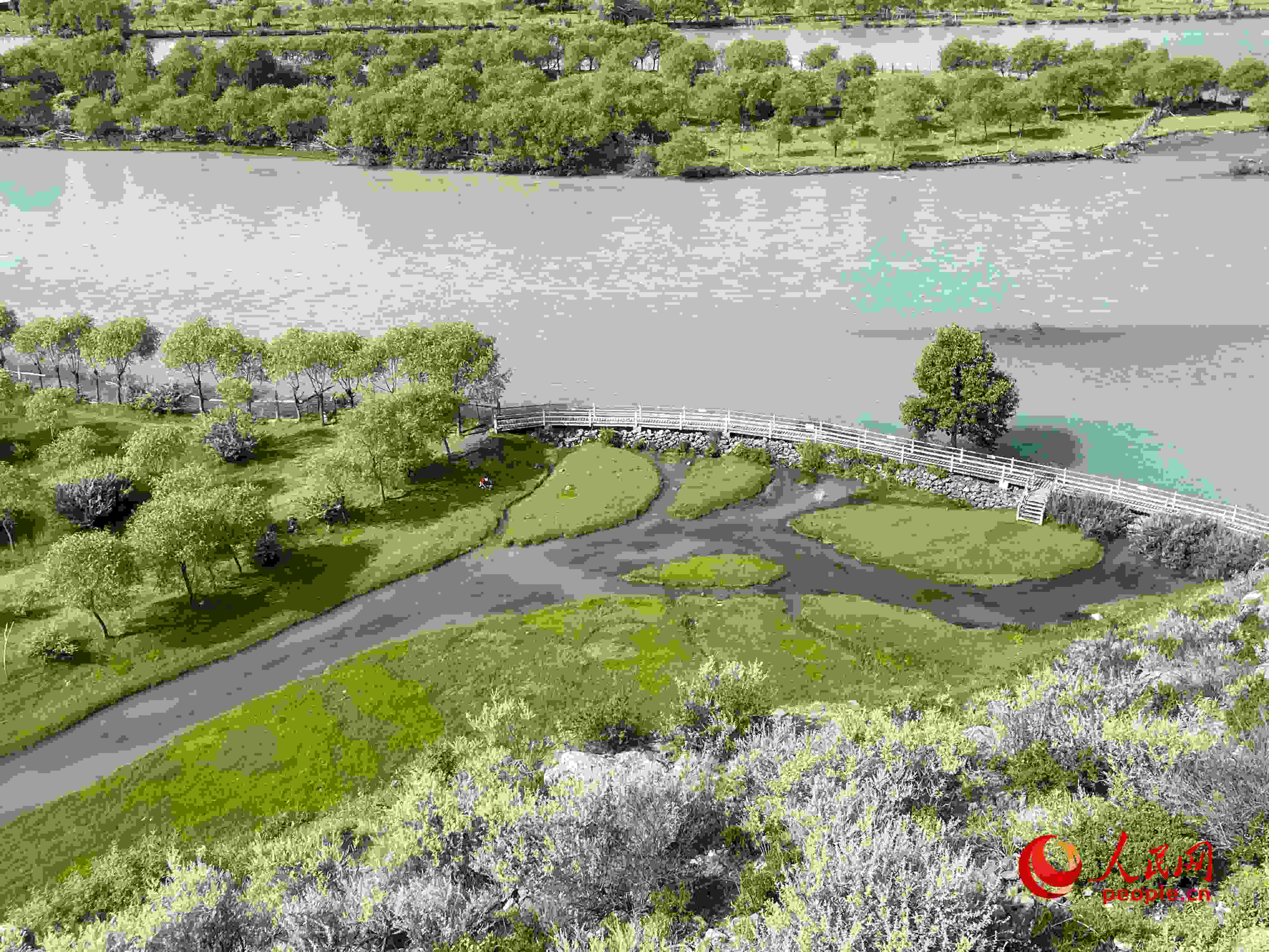 夏日的雅尼國家濕地公園生機(jī)盎然，如詩如畫。人民網(wǎng) 周靜圓攝