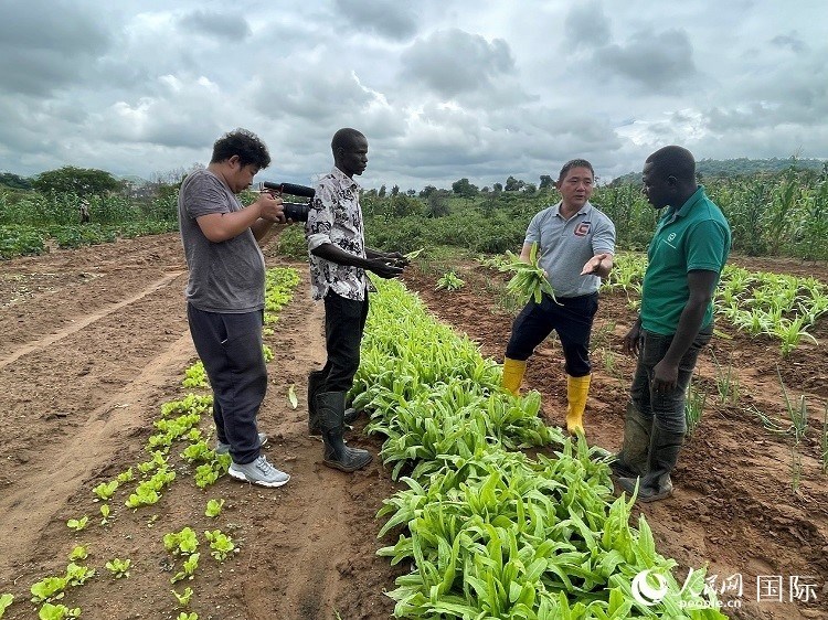 人民網(wǎng)記者走進尼日利亞農(nóng)業(yè)技術(shù)示范中心。人民網(wǎng)記者 趙艷紅攝