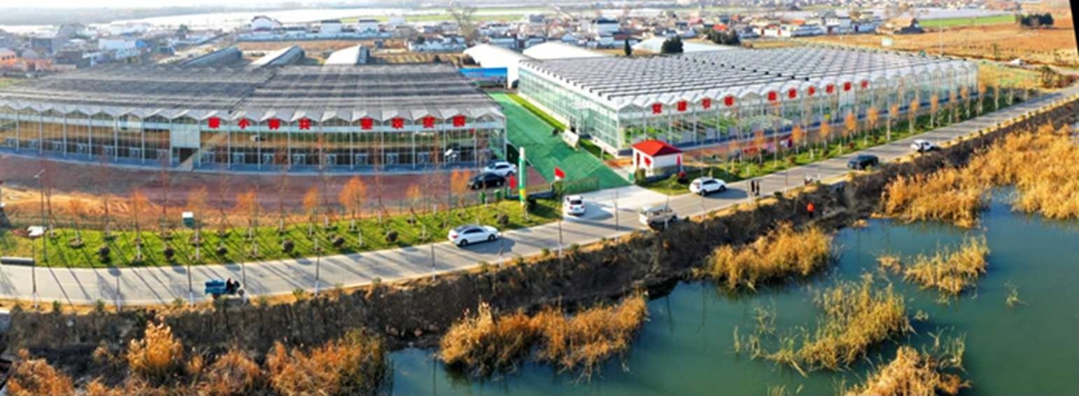 白樓灣三產(chǎn)融合發(fā)展。宋道森攝