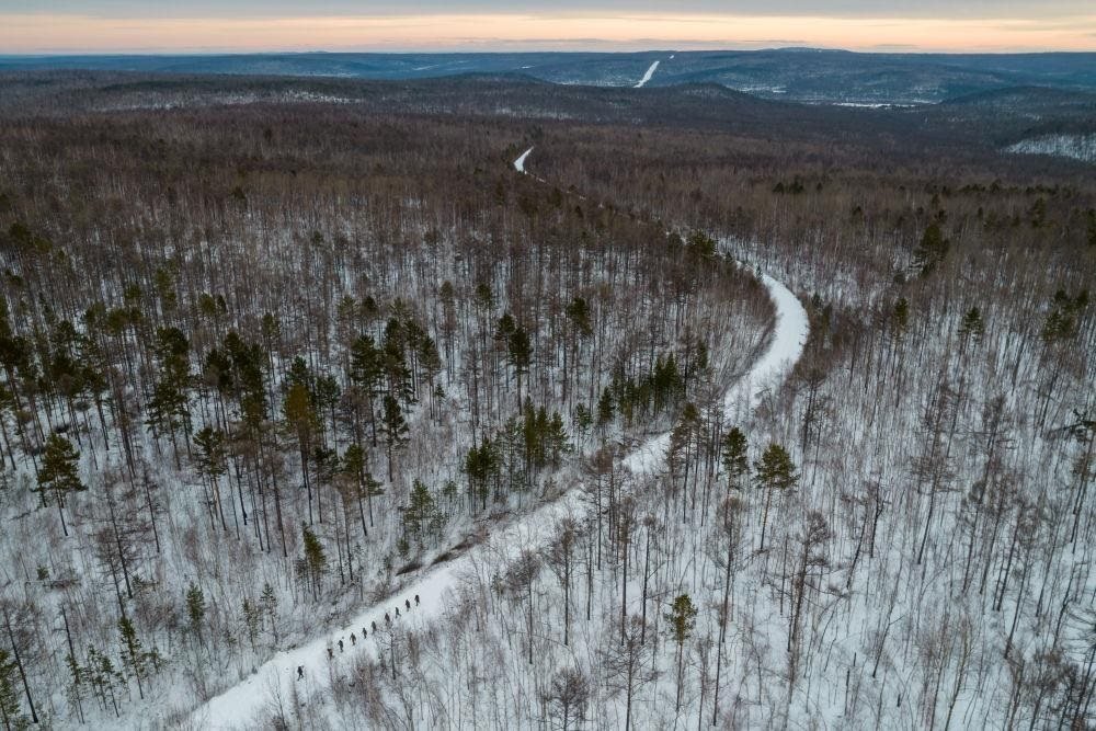 △2023年1月，漠河林場數(shù)十名職工自發(fā)組成的森林撫育隊(duì)伍，在人跡罕至的山林中作業(yè)。