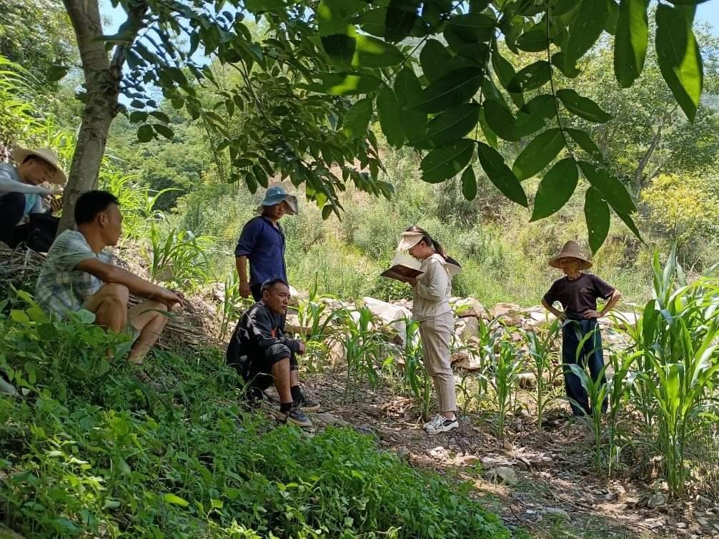 2023年7月18日，兩家村民發(fā)生土地方面的糾紛，李江女（右二）在記錄情況。受訪者供圖
