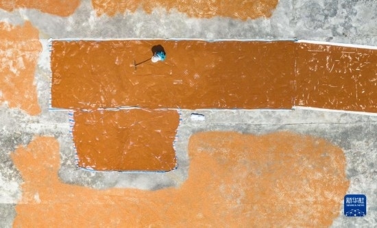 9月16日，農民在貴州省安順市西秀區(qū)大西橋鎮(zhèn)吉昌村晾曬高粱（無人機照片）。