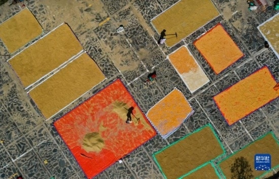 9月16日，貴州省黔東南苗族侗族自治州丹寨縣南皋鄉(xiāng)石橋村村民在晾曬農作物（無人機照片）。