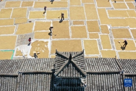 9月16日，村民在貴州省黔東南苗族侗族自治州從江縣剛邊壯族鄉(xiāng)三聯(lián)村晾曬稻谷（無人機照片）。