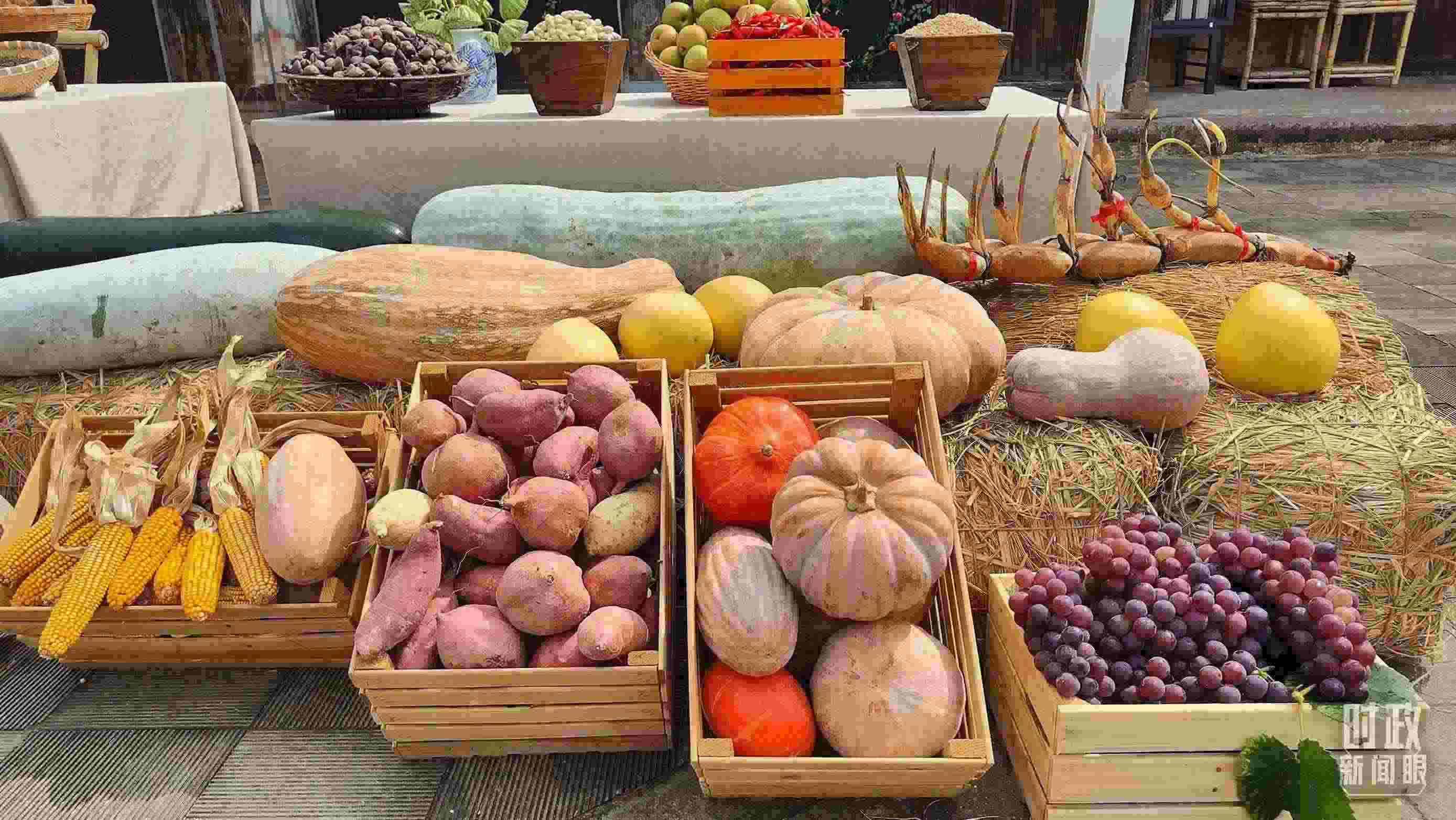 △村廣場“共富市集”，擺放著種類豐富的特色農(nóng)產(chǎn)品。（總臺央視記者楊立峰拍攝）