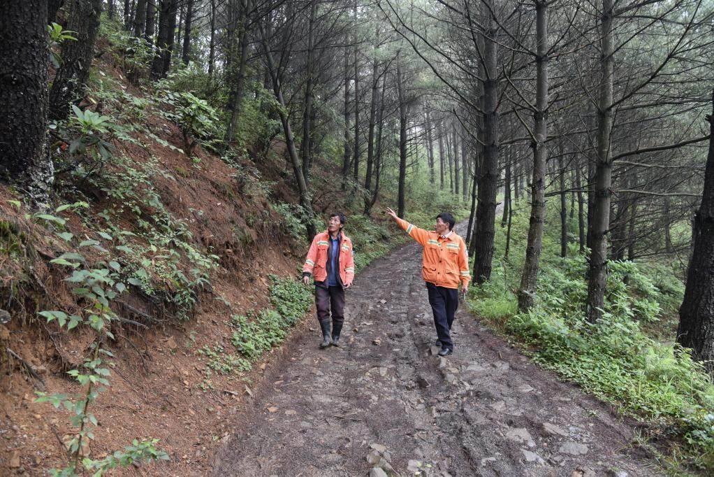 海雀村生態(tài)護(hù)林員馬正安（左）和海雀村林管員王光德（右）在日常巡山護(hù)林。新華社記者 李凡 攝