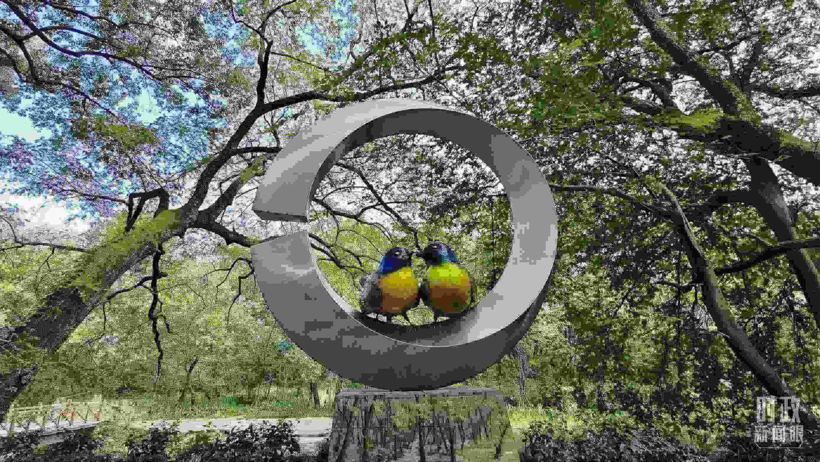 △石門村里的藍(lán)冠噪鹛雕像。（總臺(tái)央視記者許永松拍攝）