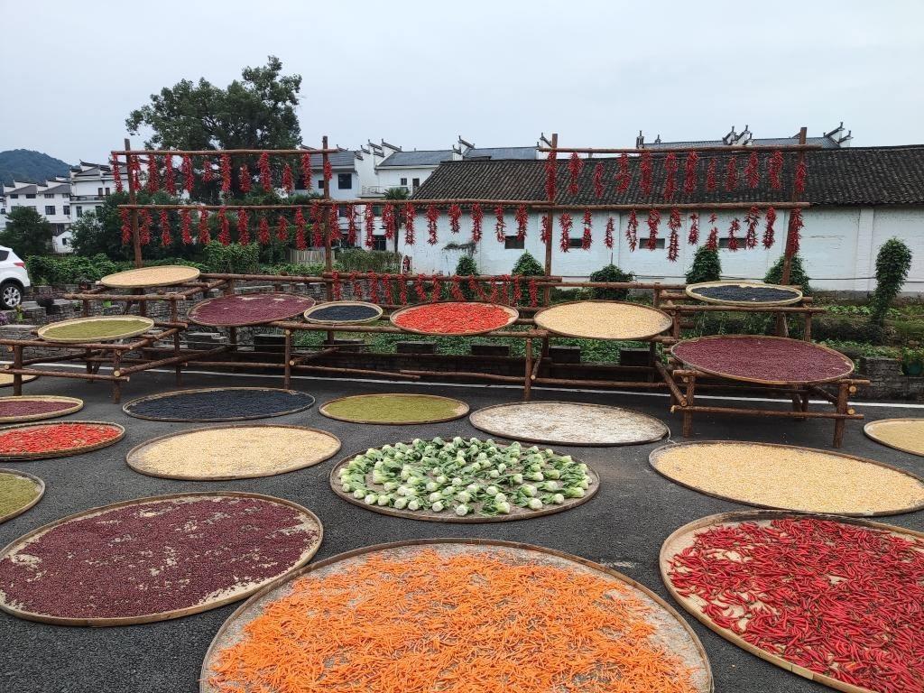 近日，江西省上饒市婺源縣秋口鎮(zhèn)王村村民晾曬的農(nóng)作物。新華社記者 劉佳敏 攝