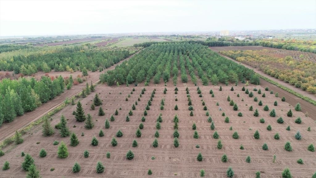 這是2023年9月11日在哈薩克斯坦首都阿斯塔納拍攝的一處植物種質(zhì)資源苗圃（無(wú)人機(jī)照片）。新華社發(fā)（法爾哈特·圖克諾夫 攝）