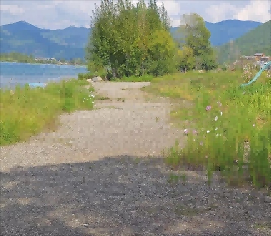 王軍所說(shuō)被填區(qū)域。 人民網(wǎng)記者 黃鈺攝