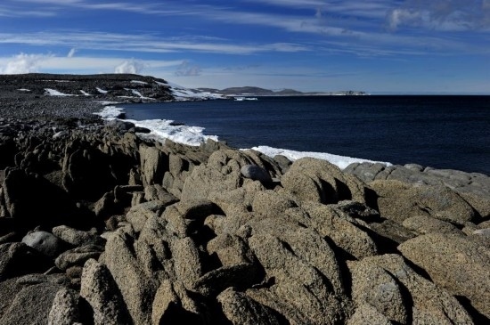 羅斯海恩克斯堡島的夏季風光。新華社記者 張建松 攝