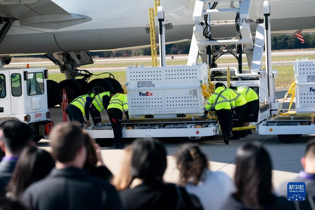 11月8日，在美國(guó)弗吉尼亞州的華盛頓杜勒斯國(guó)際機(jī)場(chǎng)，裝有大熊貓的特制“旅行包廂”準(zhǔn)備運(yùn)上專機(jī)。新華社記者劉杰攝