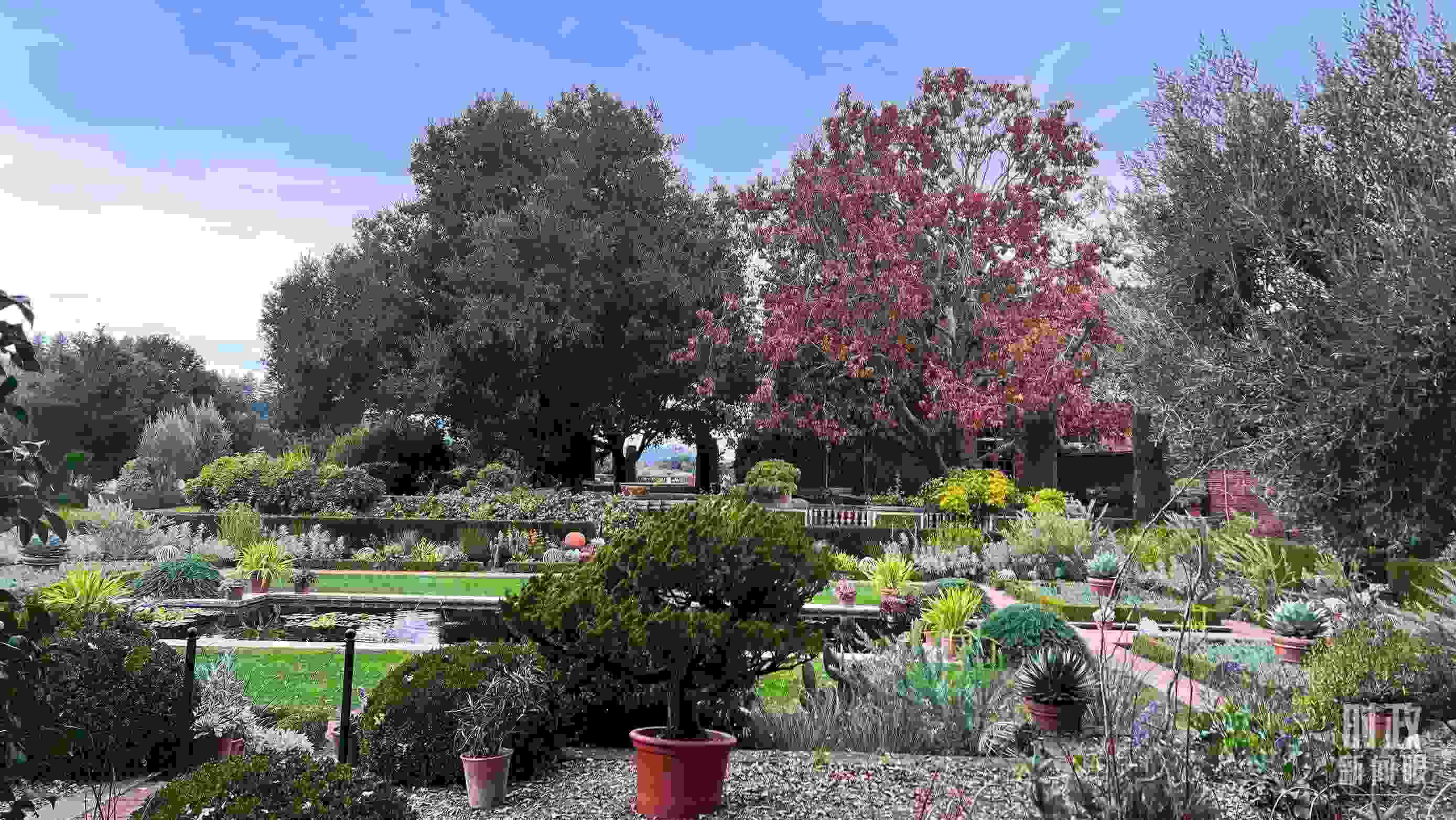 斐洛里莊園被稱作美國(guó)20世紀(jì)現(xiàn)存最精美鄉(xiāng)村莊園之一。（總臺(tái)央視記者程鋮拍攝）