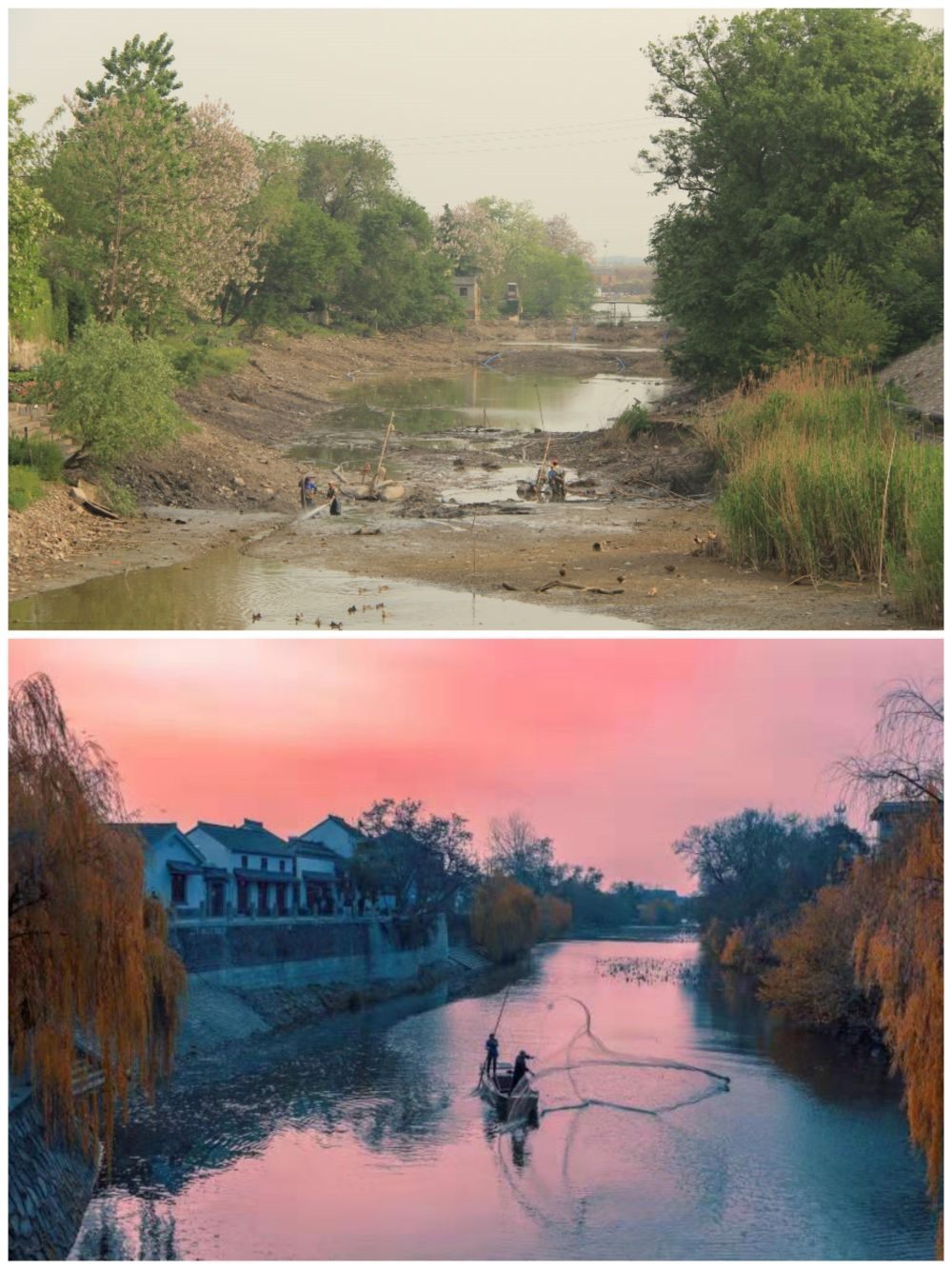 江蘇省揚州市江都區(qū)明清運河故道整治前后。（上圖：2012年；下圖：2020年）（孫友定 攝）