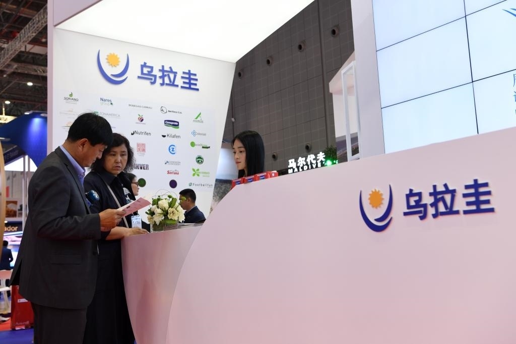 2019年11月6日，參觀者在第二屆進(jìn)博會烏拉圭國家館展臺咨詢。