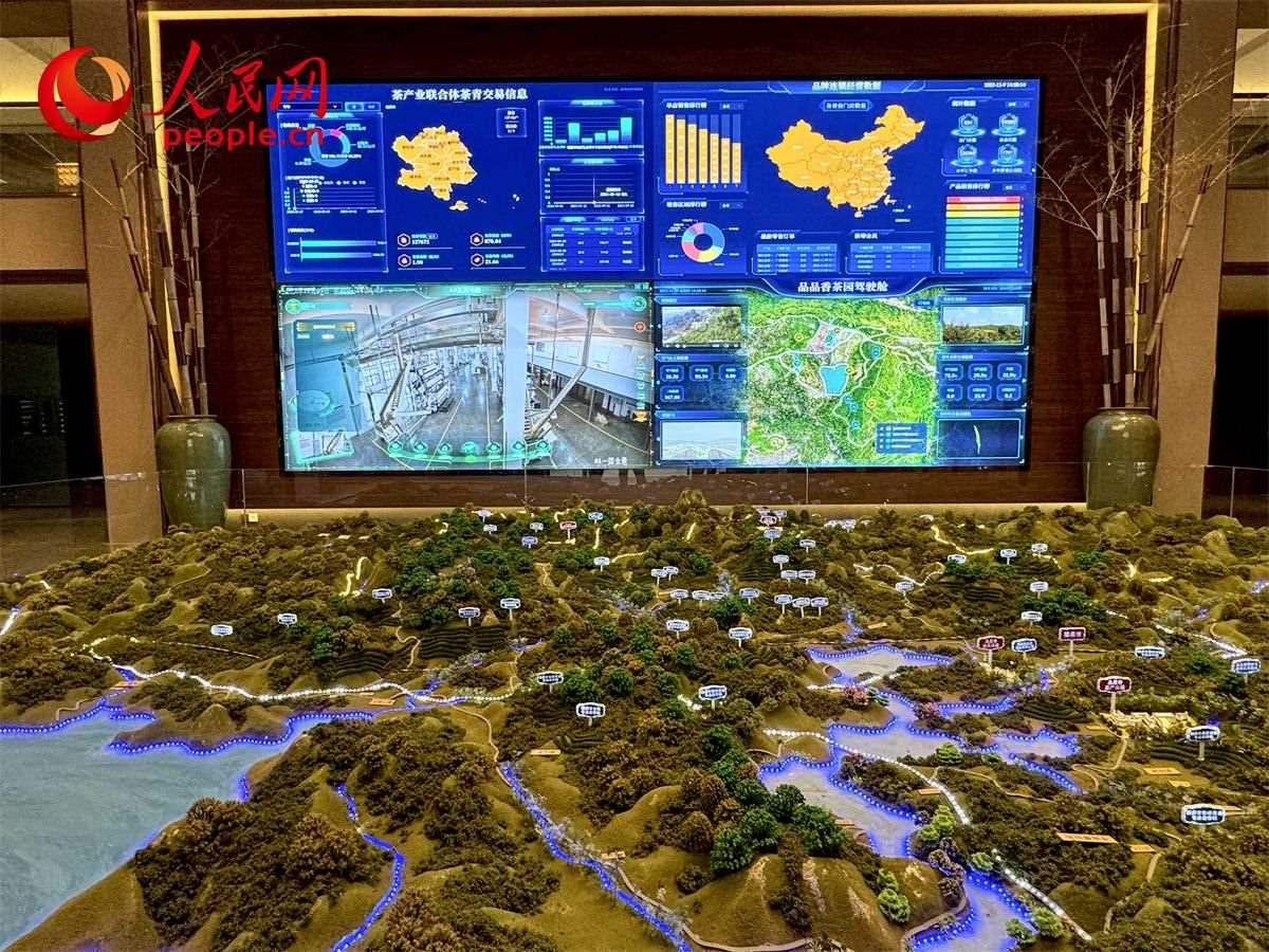 品品香白茶產(chǎn)業(yè)園信息中心數(shù)智化大屏。人民網(wǎng)記者 劉微攝