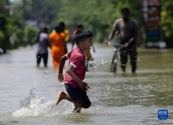 11月24日，一名男孩在斯里蘭卡加姆珀哈涉水出行。新華社發(fā)（阿吉特·佩雷拉攝）