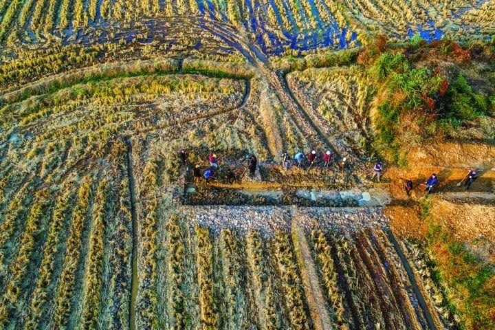 良渚遺址考古發(fā)掘現(xiàn)場。