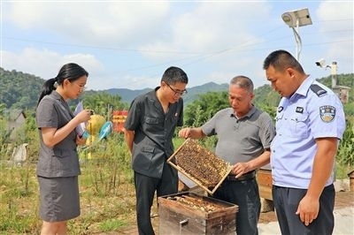  圖②：蒙山法院黃村法庭法官深入蜂蜜合作社，實地了解蜂農(nóng)需求。