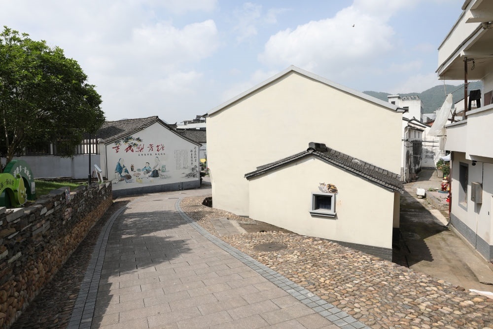 浙江省義烏市李祖村一景（2023年5月23日攝）。新華社記者 杜瀟逸 攝