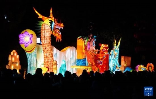 2月11日晚，人們在濟南市趵突泉公園觀賞花燈。