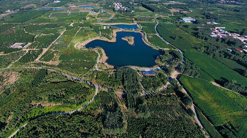 這是2022年9月6日拍攝的雄安新區(qū)“千年秀林”。