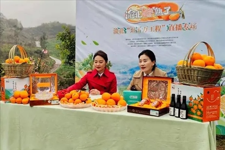 2021年2月26日，在重慶渝北區(qū)大盛鎮(zhèn)青龍村舉辦的直播活動現(xiàn)場。