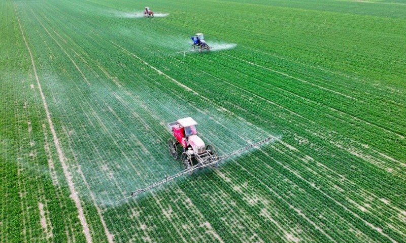 2024年2月18日，安徽省亳州市，利辛縣紀(jì)王場(chǎng)鄉(xiāng)孫老家村麥田，農(nóng)民駕駛自走式高桿噴霧機(jī)對(duì)小麥進(jìn)行噴藥作業(yè)。
