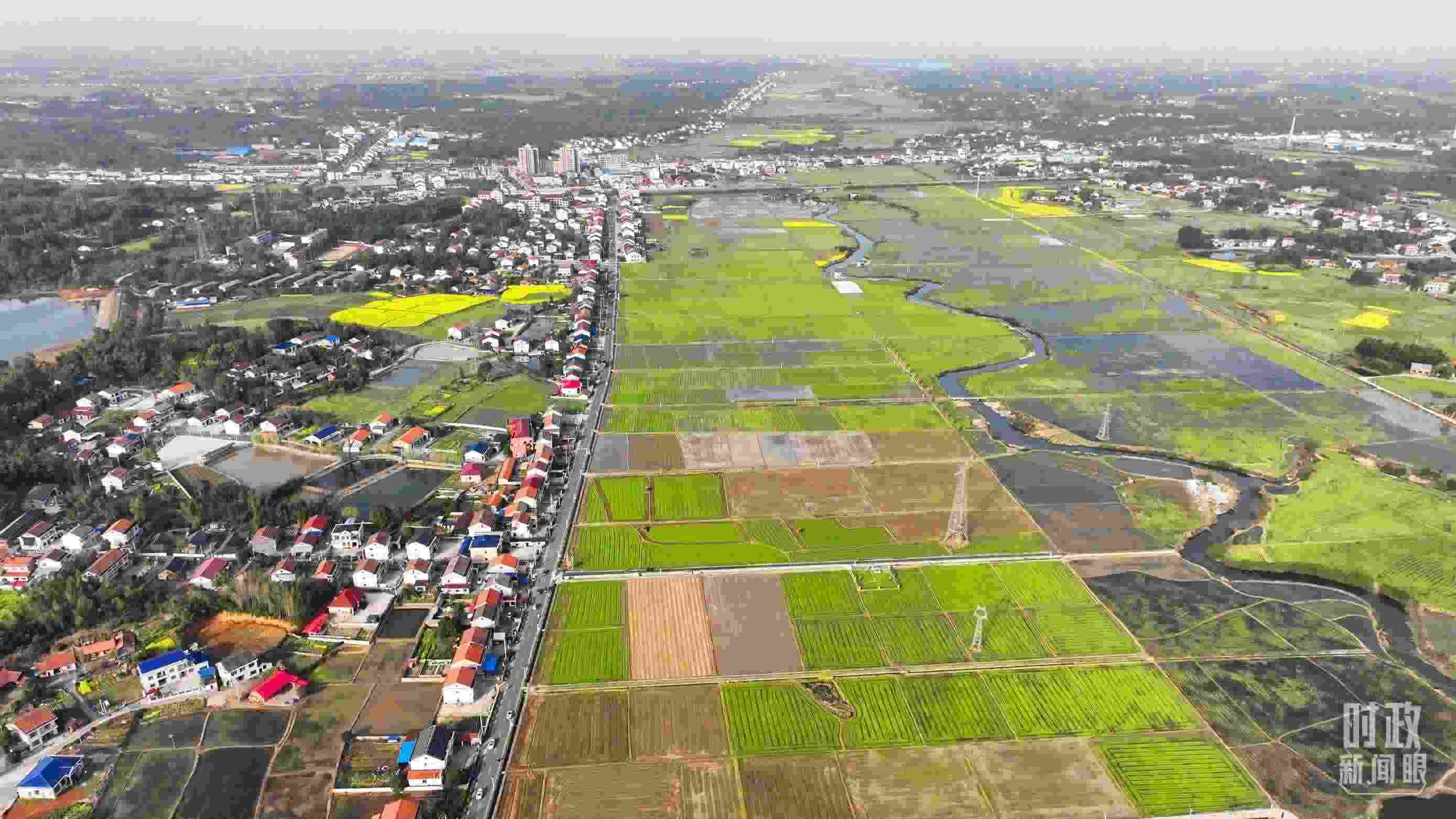 △俯瞰常德市謝家鋪鎮(zhèn)港中坪村。（總臺國廣記者李晉拍攝）