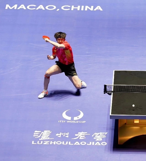 王楚欽在比賽中。賽事方供圖