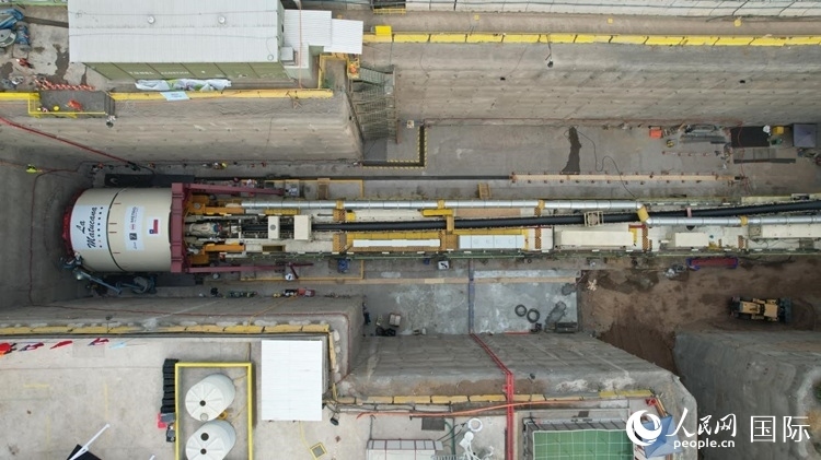 質(zhì)構(gòu)機全景。陳露明攝