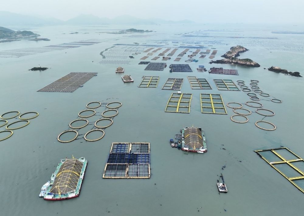 在福建連江定海灣海域，坐落著“定海灣1號(hào)”“定海灣2號(hào)”等深遠(yuǎn)海養(yǎng)殖平臺(tái)（2024年5月7日攝，無人機(jī)照片）。新華社記者 林善傳 攝