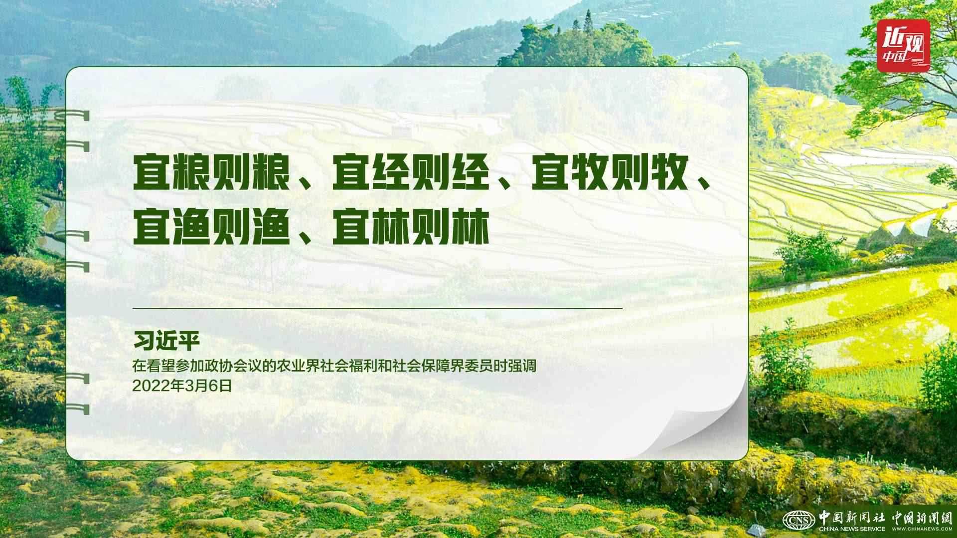 習(xí)近平：樹(shù)立大食物觀，構(gòu)建多元化食物供給體系