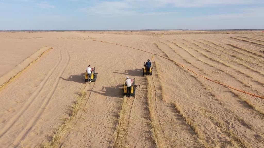 內(nèi)蒙古巴彥淖爾市烏拉特后旗西補隆林業(yè)管護中心職工駕駛機械鋪設(shè)壓沙障。新華社記者 李云平 攝