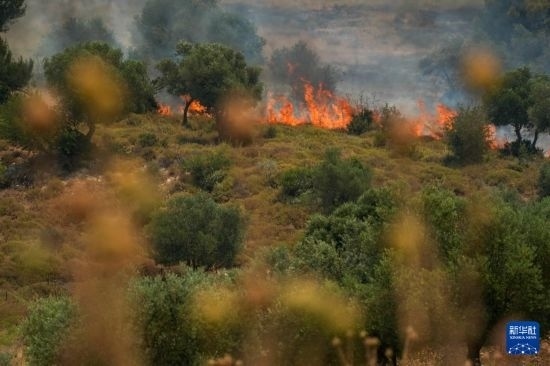 6月12日，以色列北部加利利地區(qū)遭受火箭彈襲擊后冒出滾滾濃煙。新華社發(fā)（阿亞爾·馬戈林?jǐn)z/基尼圖片社）